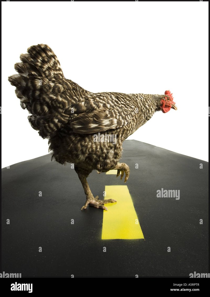 ¡Descubre el Exclusivo Juego de Aventura en la Carretera del Pollo en España - overview