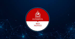 Understanding the Role of Interpol Defense Lawyers 1344189223