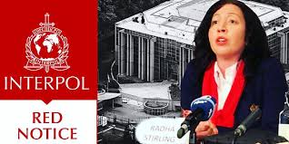 Understanding the Role of Interpol Defense Lawyers 1344189223