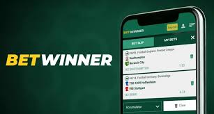 BetWinner Casino and Sportsbook A Comprehensive Guide to Online Betting