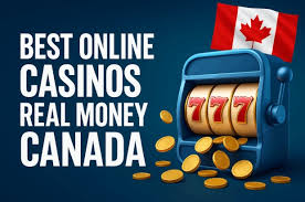 Discovering the Best Online Options for Your Needs Discovering the Best Online Options for Your Needs
