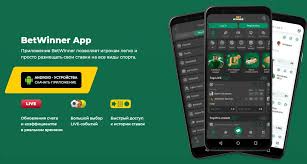 Exploring the BetWinner Gambling Platform Features, Advantages and User Experience