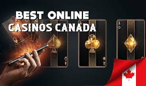 Top Casino Sites in Canada Your Ultimate Guide